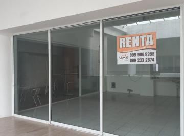 Local comercial · 35m² · Local de 35 m² en El Interior de Plaza del Mar Progreso, Yuc