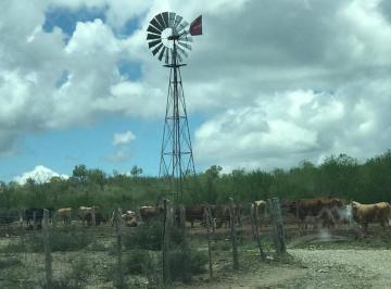 Terreno / Lote · Terreno en Venta de 950 Ha Uso Agrícola y Ganadero General Terán Nuevo León.