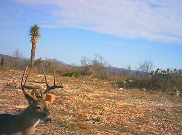 Terreno / Lote · Terreno en Venta de 1984 Hectáreas Uso Ganadero y Cinegético Villaldama Nuevo León