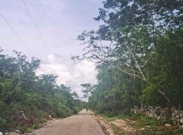 a pie de calle pavimentada · 30 Ha en Merida Esquina con Servicios