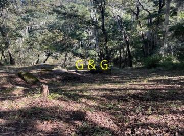 Terreno / Lote , Huasca de Ocampo · Terrenos/lotes en Venta Huasca Hidalgo