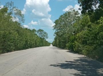 Terreno / Lote , Tulum · Remate en Cobá 5 Ha a Pie de Carretera