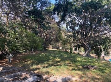 Terreno / Lote · 4920m² · Ideal Desarrollo Residencial