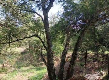 Rancho , Montemorelos · Terreno Campestre en Venta en Montemorelos, N. L.