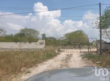Terreno / Lote · 102912m² · Terreno en Venta en Mérida Yucatán, San Matías Cosgaya