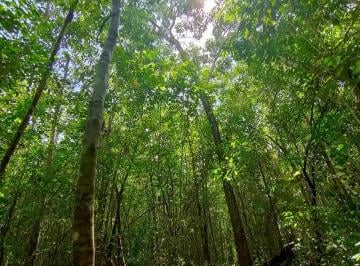 Terreno / Lote , Puerto Morelos · Remate Lote 2,7 Ha Km²4 Ruta de Los Cenotes