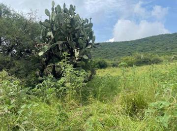 Terreno comercial · 2000m² · Terreno en Venta - (4)