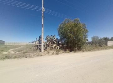 Terreno / Lote · 5000m² · Terreno en Venta en Hidalgo - (4)
