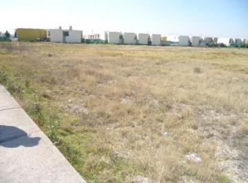 Terreno / Lote , Tecámac · Venta 4 Hectareás en Tecamac Colinda Aeropuerto Felipe Angeles Ideal Para Centro Comercial Walmart