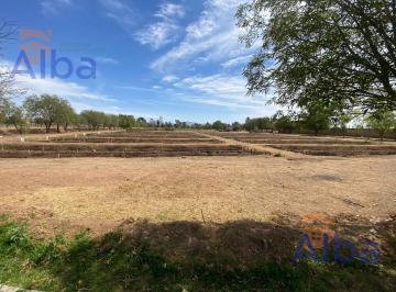 Terreno / Lote · 210000000m² · Granja en Venta Rincon de Romos