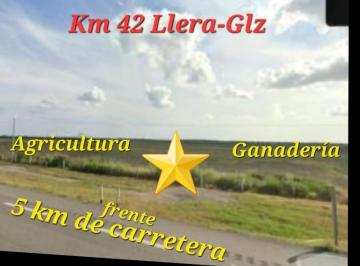 Rancho · 14000000m² · Venta Rancho Agrícola en González, Tam
