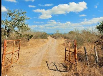 Rancho · 2500000m² · Venta de Rancho Agrícola en González, Tam