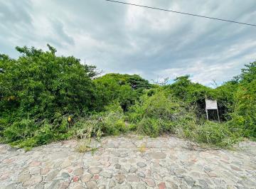 Terreno / Lote , Salamanca · Terreno en Venta, Palo Blanco