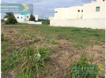 Terreno / Lote · 461m² · Terreno - Alvarado