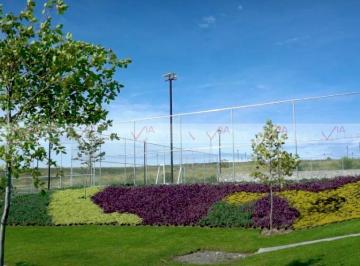 Terreno / Lote · 500m² · Terreno / Lote en Venta en Guanajuato