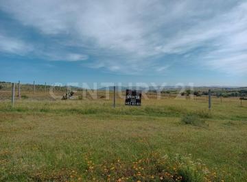 Terreno / Lote · 2500m² · Venta Terreno, con Servicio de Luz y Drenaje a Pie de Calle, Zona Valsequillo