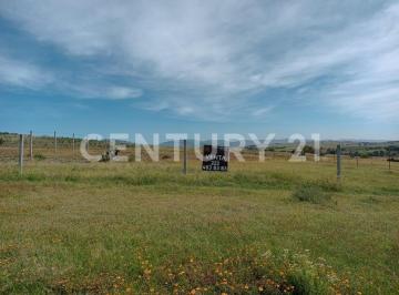 Terreno / Lote · 2500m² · Venta Terreno, con Servicio de Luz y Drenaje a Pie de Calle, Zona Valsequillo