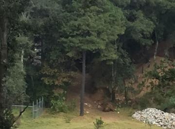 Terreno / Lote , Jilotzingo · Terreno Espiritu Santo Jilotzingoen Venta 6,000 m²