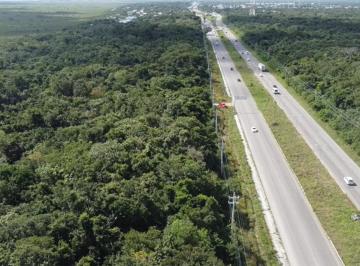 Terreno / Lote · 60000m² · Terrenos Desde 1.5 Hasta 6 Hectáreas en Puerto Morelos
