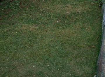 Terreno / Lote · 150m² · Terreno - Fraccionamiento Coapexpan
