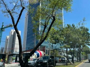 Oficina , Guadalajara · Oficina en Renta Country Club