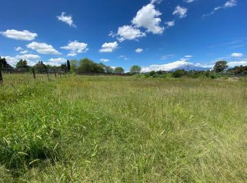 Terreno / Lote , San Andrés Cholula · Terreno en Renta Zona Blvd Atlixco/parque Loro Puebla/periférico E