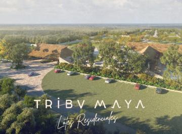 Terreno / Lote · Venta Lotes Residenciales en Tribu Maya, Dzidzantun, Yucatan