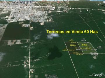 Terreno / Lote , Solidaridad · Terreno en Venta de 60 Has, Suelo H3 y Hc5 en Playa del Carmen