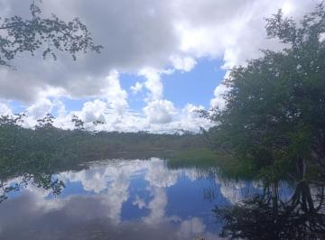 Terreno / Lote , Puerto Morelos · Lote de 5000 m a 100 m de Laguna Leona Vicario