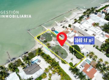 Terreno / Lote , Progreso · Terreno en Venta en Progreso, Yucatan.