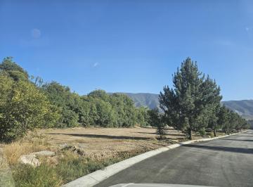 Terreno / Lote · 600m² · Venta de Terreno en Arteaga Coahuila Centro