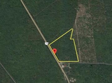 Terreno / Lote · 89388m² · Terreno - Chicxulub Pueblo