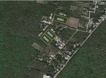 Terreno / Lote · 8000m² · Terreno - Hacienda Xcunya