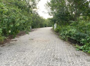 Terreno / Lote · 344m² · Terreno - Playa del Carmen