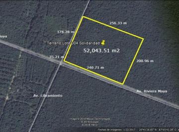 Terreno / Lote · 52000m² · Terreno - Solidaridad