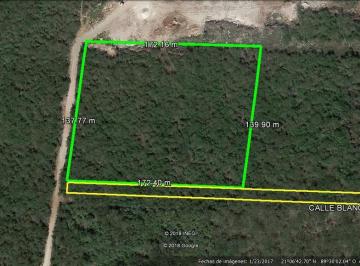 Terreno / Lote · 23760m² · Oficina - Conkal