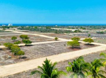 Terreno / Lote , San Pedro Mixtepec · Terrenos a Pie de Playa Palmarito Acceso Directo Al Mar