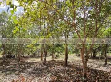 Terreno / Lote · 2500m² · Terreno / Lote en Venta en Bacalar