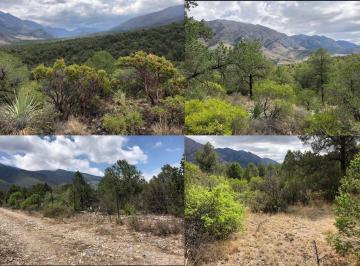 Terreno / Lote · 22000m² · Terreno en Venta en La Carbonera