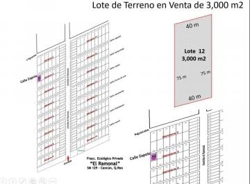 Terreno / Lote · 1m² · 4 Estacionamientos · Terreno Ecológico en Venta de 3,000 m², en El Ramonal, Km 15, Carretera Cancún - Mérida