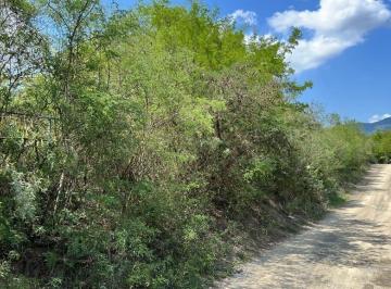 Terreno / Lote · 10164m² · Terreno en Venta Santiago Cola de Caballo