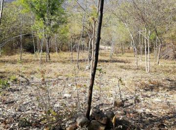 Terreno / Lote , Santiago · Terreno en Venta en Santiago en El Alamo