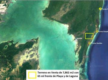 Terreno / Lote · 7862m² · Terreno en Venta 65 m Ocean Front, Xcalak, Q. Roo. Frente Chinchorro
