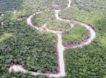 Terreno / Lote · 250000m² · Terreno en Venta en Km 6 de La Ruta de Los Cenotes, Quintana Roo
