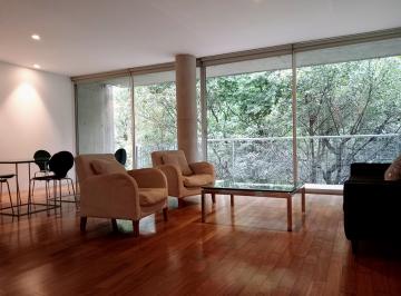 Departamento , Cuauhtémoc · Parque México, Hipódromo