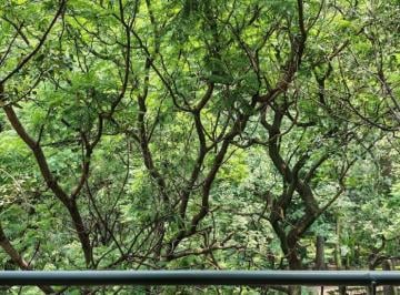 Departamento , Cuauhtémoc · Parque México, Hipódromo