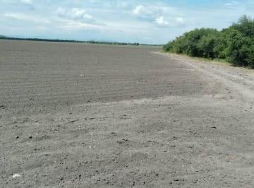 Terreno / Lote · 5000m² · Venta de Rancho Para Cultivo en La Morita Tamaulipas