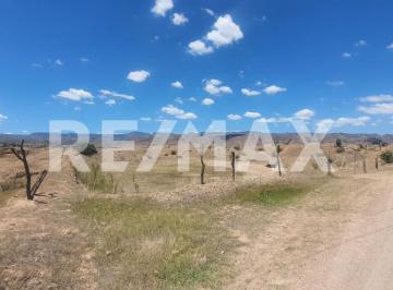 Terreno / Lote · 39421m² · Terreno en Venta en Morcillo Durango, Dgo - (4)