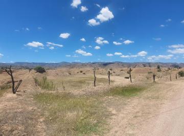 Terreno / Lote · 39421m² · Terreno en Venta en Morcillo Durango, Dgo - (4)