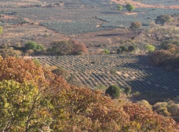 Terreno comercial , Tequila · Terreno en Venta en Tequila Jalisco